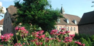 Frühling im Kräutergarten des Hotel Kloster Hornbach in Rheinland-Pfalz