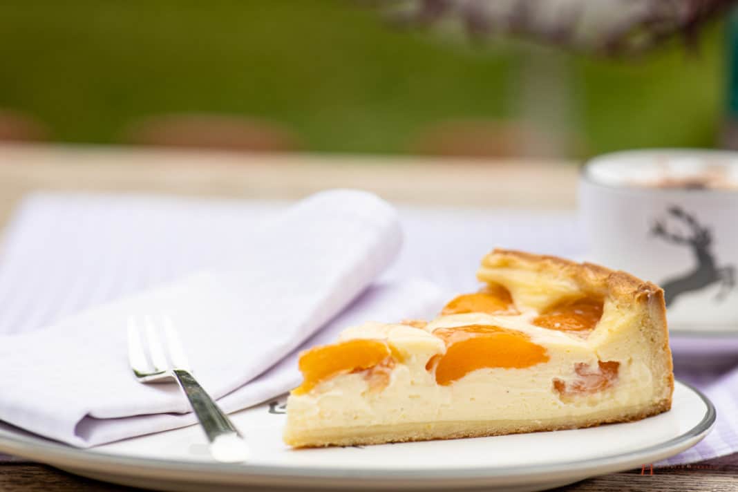 Rezept Leckerer AprikosenSchmandKuchen Leichter Käsekuchen