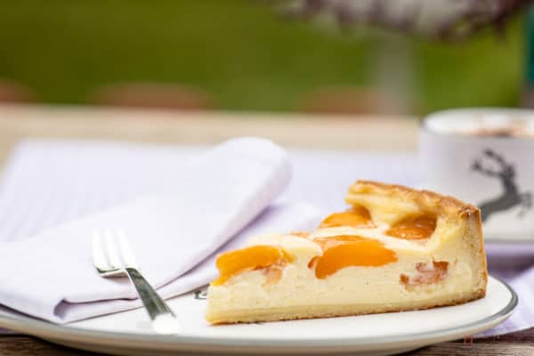 Rezept - Leckerer Aprikosen-Schmand-Kuchen - Leichter Käsekuchen